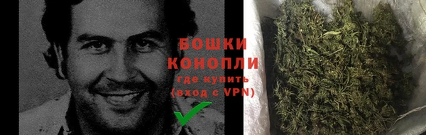 гидропоника Белоозёрский