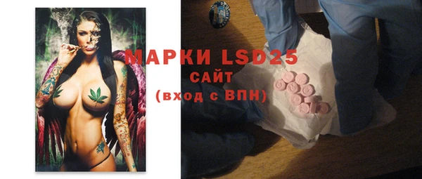 PSILOCYBIN Богданович