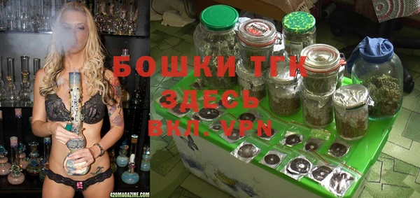 spice Богородск