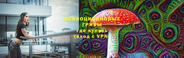 мяу мяу кристалл Богданович