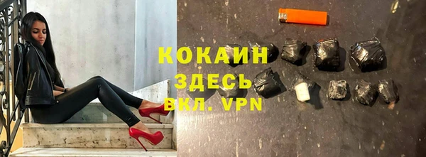 PSILOCYBIN Богданович