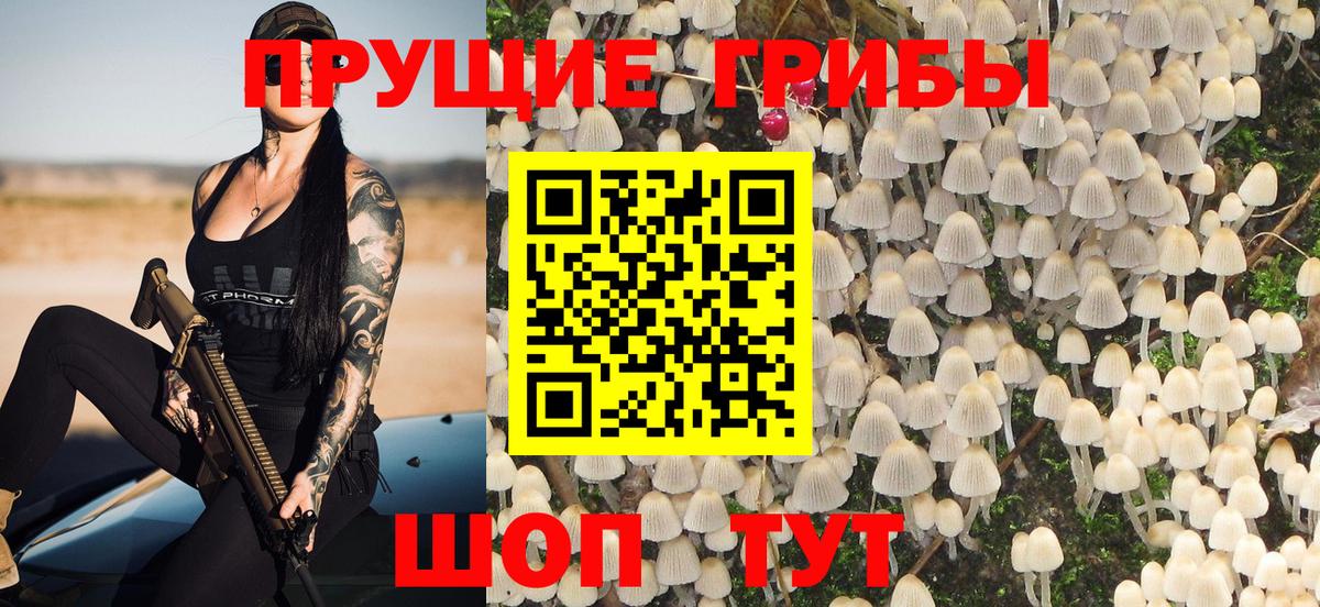 Псилоцибиновые грибы мицелий  Галлюциногенные грибы Psilocybe  Воркута 