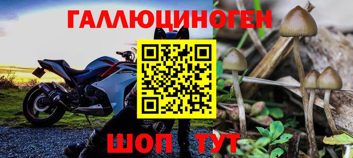 Галлюциногенные грибы Magic Shrooms  цены наркотик  Воркута  Галлюциногенные грибы Magic Shrooms  Вход с VPN 