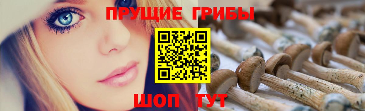 Псилоцибиновые грибы Psilocybine cubensis Воркута